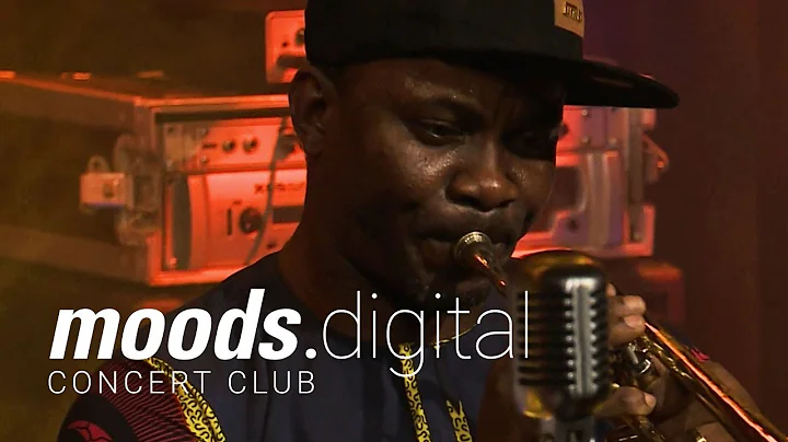 Live at Moods: Seun Kuti & Egypt 80
