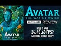 Avatar The Way Of Water 4K UHD Review | 2023's BEST 4K? image