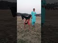 press hand stand ❤️🙏#viral #subscribers #yogad #trending #fitness #reels #reelsvideos #viralvideo