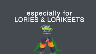 For Lories and Lorikeets | From Beaks International Kochi