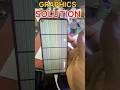 REALME MOBILE SACREEN GRAPHICS SOLUTION || HOW TO FIX GRAPHICS || REALME MOBILE DISPLAY SOLUTION