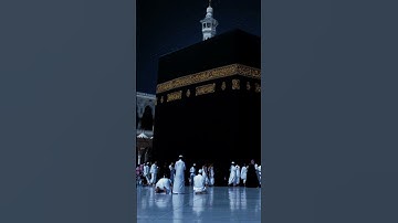 تلاوة خاشعة رهيبة للشيخ ياسر الدوسري