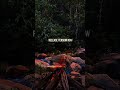 Cozy Campfire in the Woods - Peaceful Piano Hug for Sleep, Study & Stress Relief #shorts