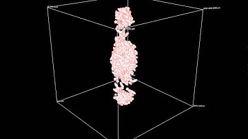 EPISIM - 3D In Silico Chemotaxis (I)