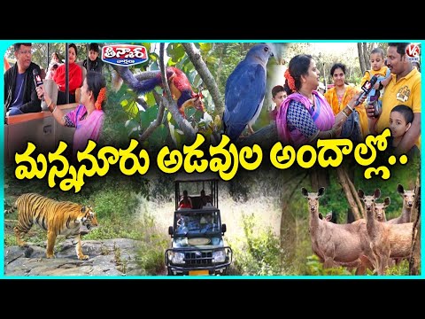 Teenmaar Chandravva Explores Nallamalla Mannanur Forest | V6 Teenmaar - V6NEWSTELUGU