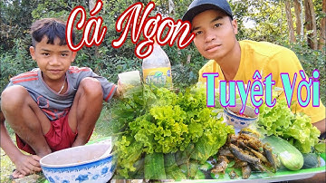 Trải Nghiệm Săn Bắt Cá Rô Đồng Trong Mùa Nước Cạn Và Cái Kết