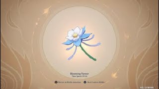 Solve 8th Lantern Riddle Puzzle Easy Guide Wondrous Shadow Genshin Impact Fleeting Colors in Flight