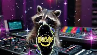 DJ CAMPURAN FULL ALBUM TERBARU VIRAL TIKTOK 2025 FULL STYLE PARTI BASS HOREG 2025