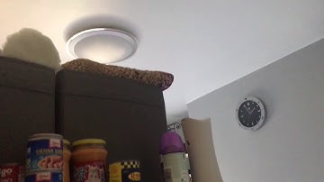 Sonoff switch installation problem lights blinking?