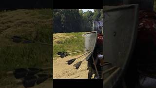 🏹Самый абсурдный фарм в Kingdom Come 2