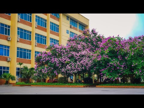 Cơ sở đào