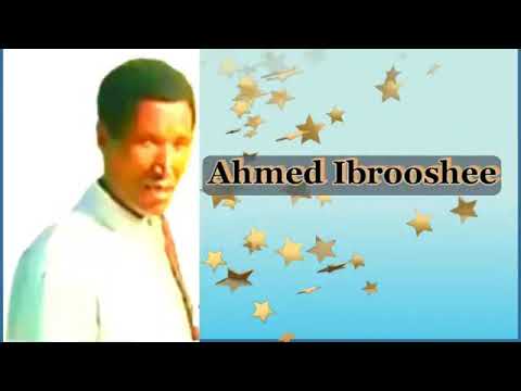 Ahammed Ibrooshee Yaanni Nadheeratee Nashakaalee Ethiopian Oromo Music Mp4 2025
