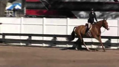 Video of Carson ridden by Lexi Dreisbach from ShowNet!