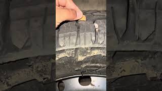 Falken wildpeak AT4W HD 2 month update ￼