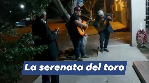 LLEVAMOS SERENATA Y NOS MOJARON 😂🤣