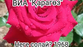 "Қаракөз" ансамблі   Кездесу.Неге солай?