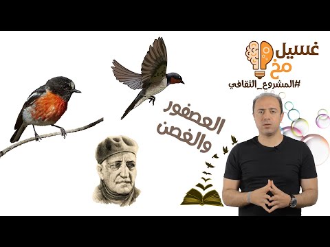 العصفور والغصن والاعتماد على النفس المشروع الثقافي غسيل مخ