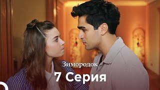 картинка: Зимородок 7 Cерия (Русский дубляж) (4K)