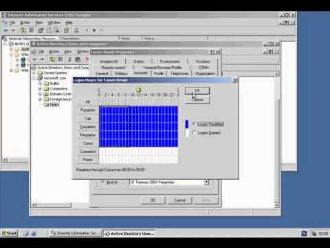 Windows Server 2003 IIS Server Configuration