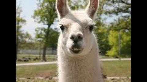 Addicting Games, Random Games 1