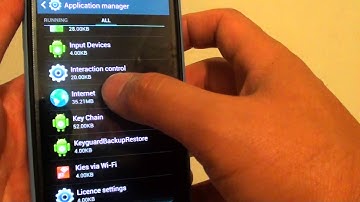 Samsung Galaxy S4: Fix Issue With Internet Browser Closing Down