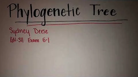 GN 311 Exam 5-1A video -Sydney Deese