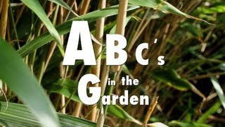 Abcs In The Garden - English