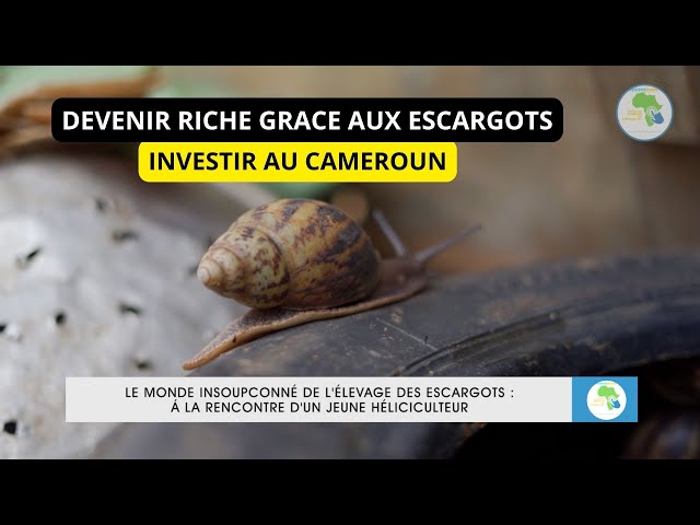 L'élevage d'escargots ou héliciculture