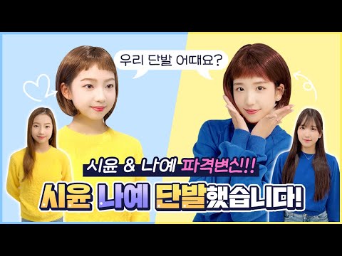 시윤이 나예 단발 했습니다 연말 <strong>파격변신</strong> 달라진 스타일링 마음에 드시나요? ｜ 클레버TV