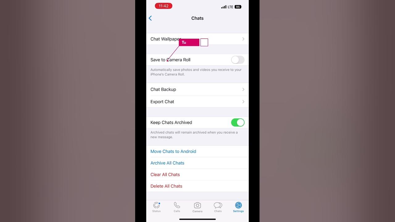 save-whatsapp-photos-in-iphone-youtube