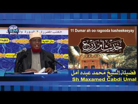 Qiso Yaableh 11 Dumar Ah Oo Xantay Ragooda Sh Maxamed Cabdi Umal