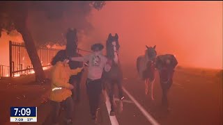 Palisades fire: 100mph winds, homes burning down, thousands forced to evacuate