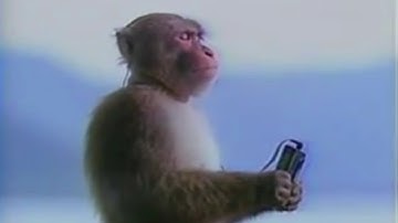 A monkey contemplates the ending of HLM2