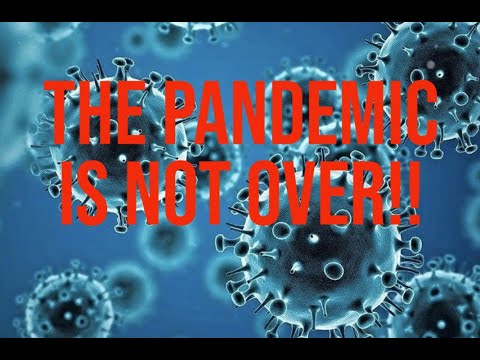 Thursday Pandemic Update: