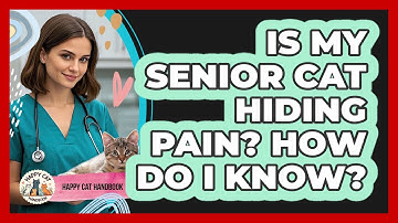 Is My Senior Cat Hiding Pain? How Do I Know? - Happy Cat Handbook