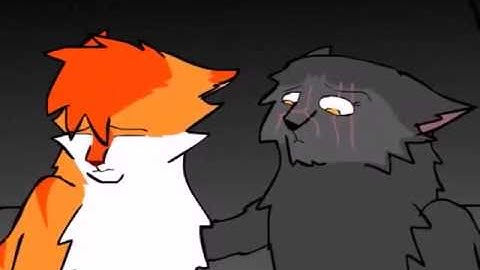 Cinderpelt MAP - Youth (Part 8)