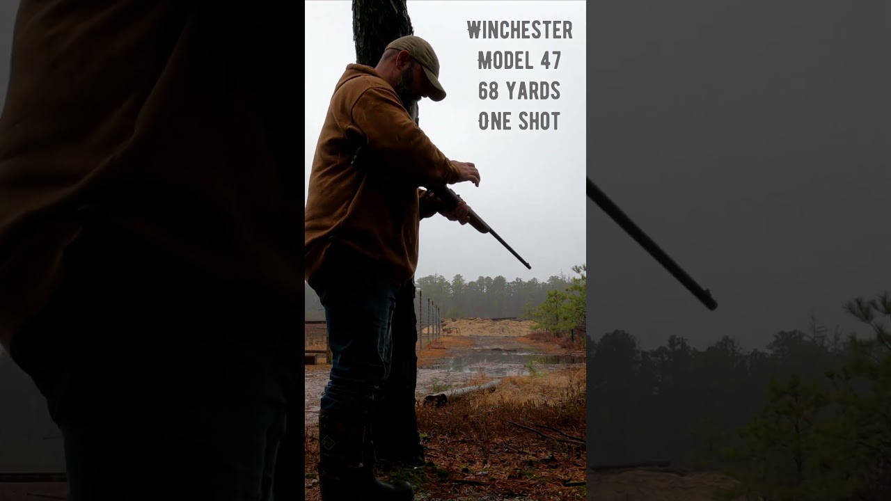 Trappers Log Day 33 : Where is the Sun? #trapping #2023season #yankeefree #ting #nj #youtuber #short