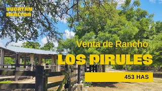 Venta de Rancho En zona Ganadera de Yucatán, "Los Pirules".