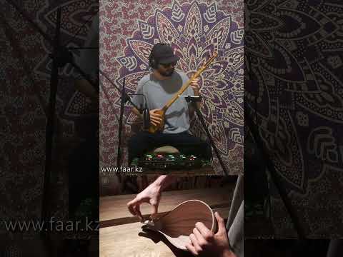 Handmade Persian Setar Psychedelic Live Loop Shorts