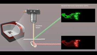 Discover How AI Transforms Pathology with SHG Imaging | 3D Animation by Amerra Medical 8,069 views 7 months ago 46 seconds