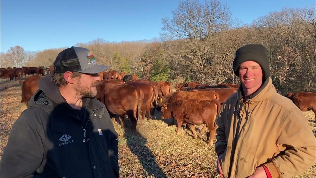 Episode 45 Meet Heller! Minnesota Seedstock Cattle Farmer