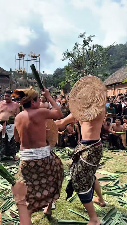Dragging pandan leaves in Tenganan village
