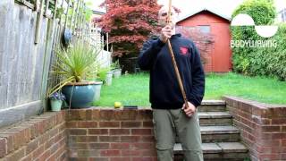 Vital posture 2/3 - How does balance work  - Systema - Veda-Uplifting Energy