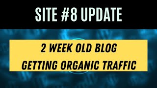 My Portfolio Site 8 Update - Organic Traffic at 2 Weeks