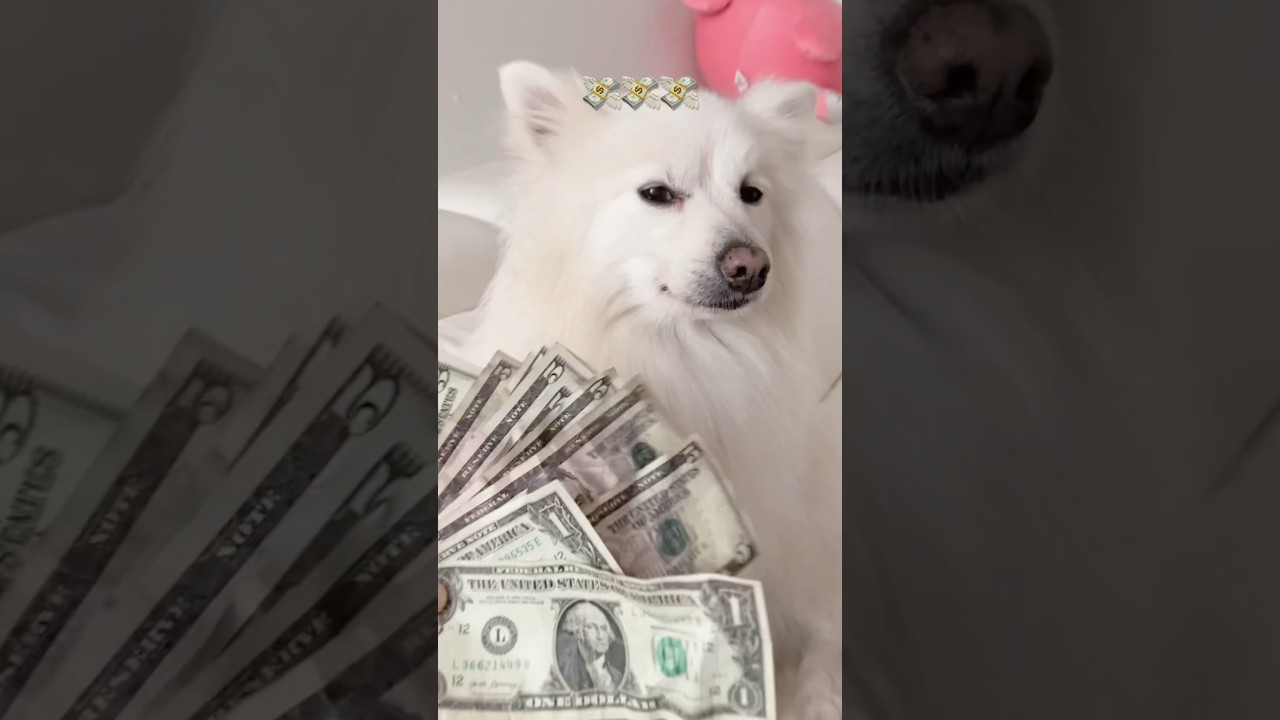 Here comes the money 💸💰