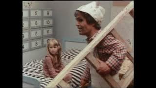 Anderland 3  Im Wald