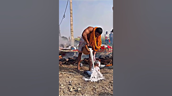 Kumbh Mela Prayagraj #kumbh #mahakumbh2025 #kumbhfestival #shortsfeed #ytshorts