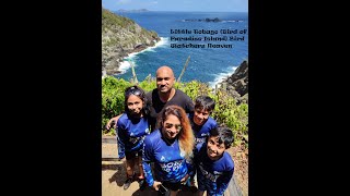 Little Tobago (Bird of Paradise Island) Bird Watchers Heaven