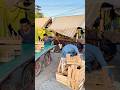 funny video #prank #funny #humorvibes #prankvideo #comedyforever #reels #shortsviral