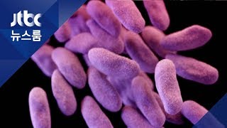 '피부 손상' 박테리아, 호주서 200명 이상 감염